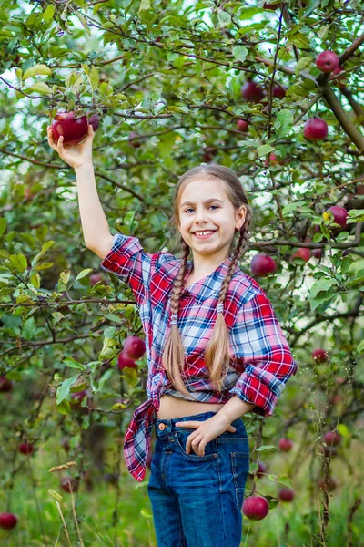 Portrait of a cute girl in a farm garden with a red apple. — Stock Photo, Image