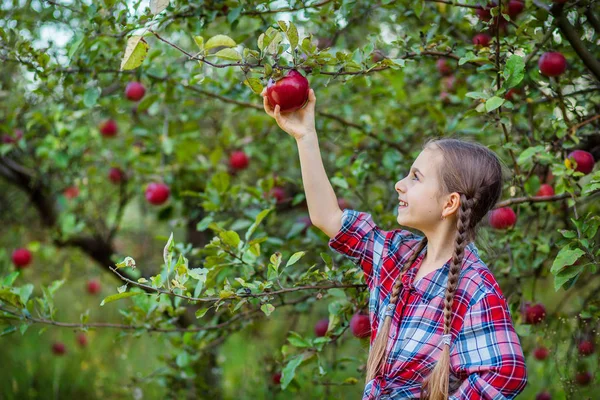 Portrait of a cute girl in a farm garden with a red apple. — Stock Photo, Image