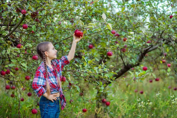 Retrato de una linda chica en un jardín de granja con una manzana roja . —  Fotos de Stock