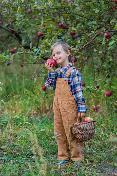 Portrait of a cute boy in the garden with a red apple. — Stok Foto