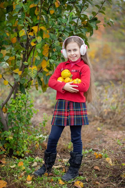 Cute girl collects quince from the tree. — Stock Photo, Image