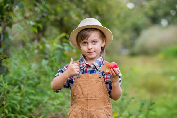 Retrato de un lindo niño en un sombrero en el jardín con una manzana roja, emociones, felicidad, comida. Cosecha de otoño de manzanas . — Foto de Stock