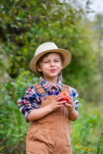 Potret seorang anak laki-laki lucu di sebuah topi di taman dengan apel merah, emosi, kebahagiaan, makanan. Panen apel musim gugur . — Stok Foto