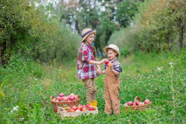 Potret seorang kakak dan adik di taman dengan apel merah di tangan mereka . — Stok Foto