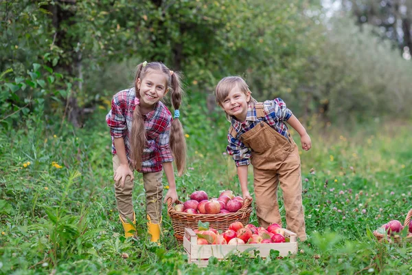 Retrato de un hermano y una hermana en el jardín con manzanas rojas en las manos . —  Fotos de Stock