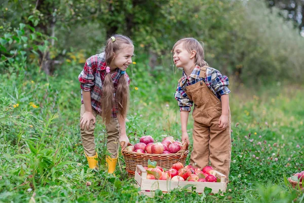 Potret seorang kakak dan adik di taman dengan apel merah di tangan mereka . — Stok Foto
