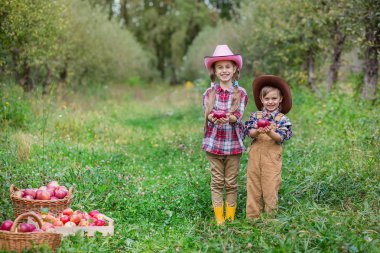 Bovboyskih şapkalı bir erkek ve bir kız sonbaharda elma toplama da yer almaktadır.