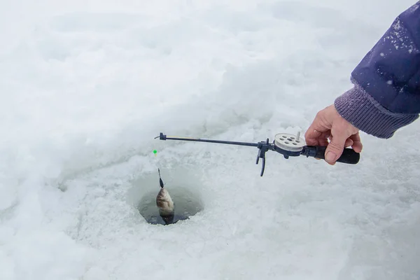 Крупным планом богатого рыбака с удочкой. Лёд и удочка для зимней рыбалки. Зимняя рыбалка Маленький улов рыбы . — стоковое фото