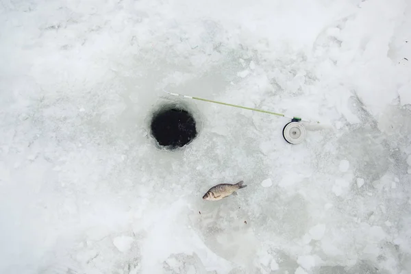 Ice and fishing rod for winter fishing. Winter fishing. Small catch of fish.