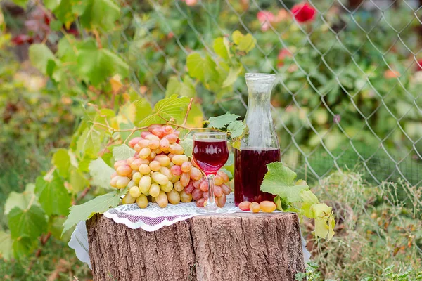 Arrangement in the garden with blue and green grapes, a glass of red drink and a bottle. — Stock Photo, Image