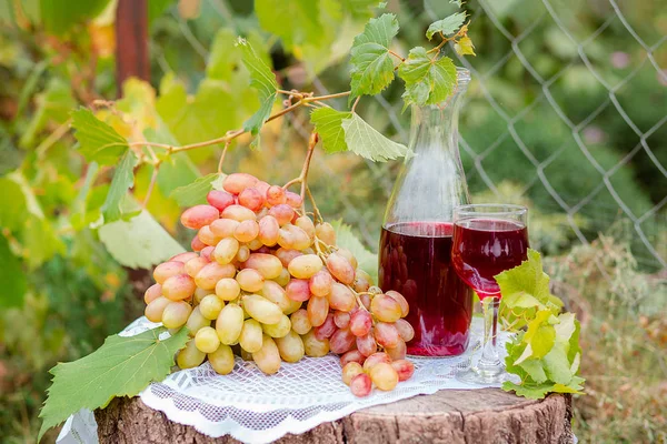 Mavi ve yeşil üzüm, kırmızı içecek ve bir şişe ile bahçede Düzenleme. — Stok fotoğraf