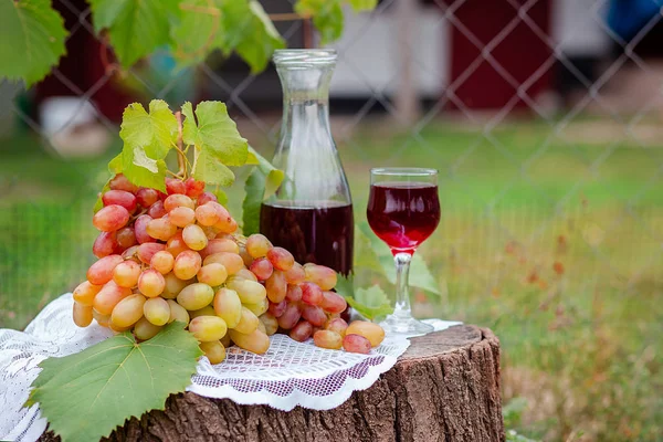 Arrangement dans le jardin avec des raisins bleus et verts, un verre de boisson rouge et une bouteille . — Photo