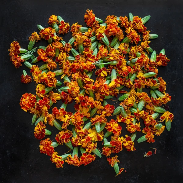 Processing of dried flowers marigolds. Dried Chernobriv inflorescences for tea and cooking oil.