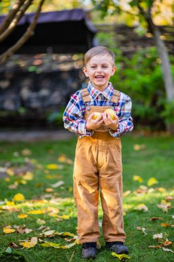 Güneşli bir sonbahar gününde bahçede elinde elma ile Sevimli çocuk.