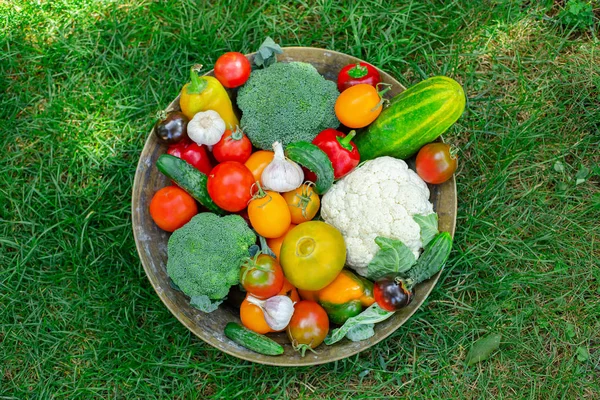 Colheita de tomates, pepinos, pimentas e outros vegetais do jardim . — Fotografia de Stock