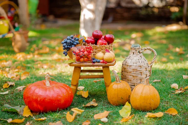 Autumn composition with apples, pumpkin and grapes located in the garden. Autumn harvest. — Stock Photo, Image