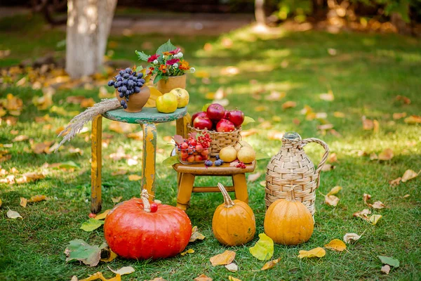 Bahçede elma, balkabağı ve üzüm içeren sonbahar kompozisyonu. Sonbahar hasadı. — Stok fotoğraf