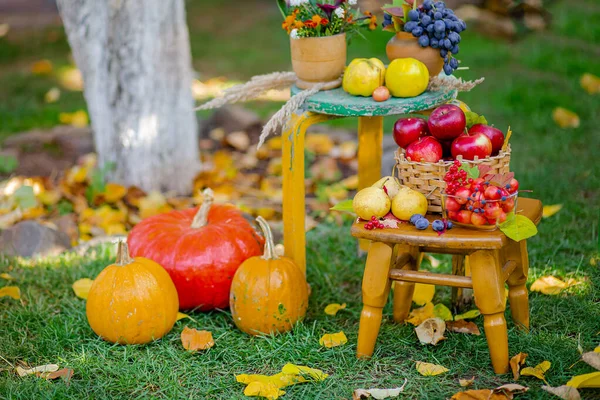 Composición otoñal con manzanas, calabaza y uvas ubicadas en el jardín. Cosecha de otoño . — Foto de Stock