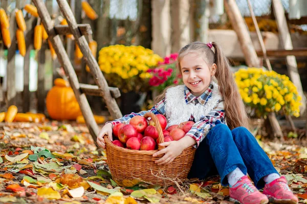 Little girl with a basket of red apples. Children pick ripe vegetables at the farm during the holiday season. — Stock Photo, Image