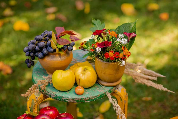 Herbstkomposition mit Trauben, Quitten und Blumen im Garten auf einem unscharfen grünen natürlichen Hintergrund. — Stockfoto