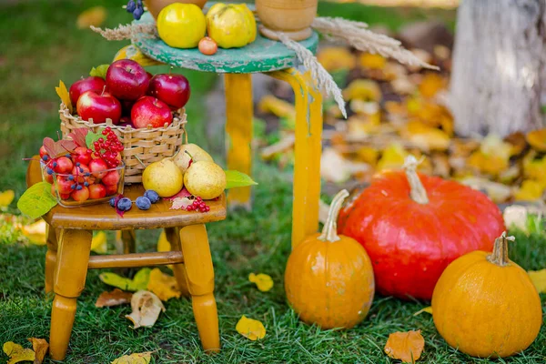 Autumn composition with apples, pumpkin and grapes located in the garden. Autumn harvest. — Stock Photo, Image