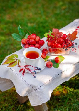Güneşli günaydın. Bahçede sabah vakti, cennetin elmalarıyla sıcak bir fincan çay..