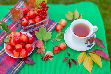 Bahçede sabah cennetin elmalarıyla beyaz bir fincan sıcak çay, bulanık doğal bir arka plan..