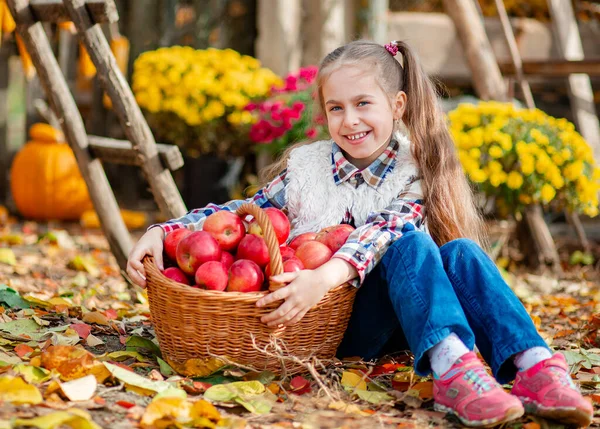 Little girl with a basket of red apples. Children pick ripe vegetables at the farm during the holiday season. — Stok Foto