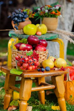 Bahçede elma, balkabağı ve üzüm içeren sonbahar kompozisyonu. Sonbahar hasadı.