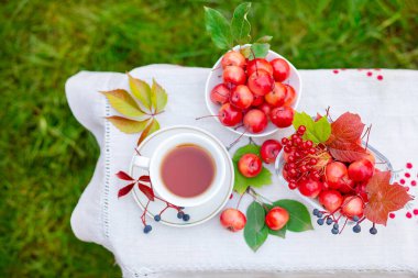 Güneşli günaydın. Bahçede sabah vakti, cennetin elmalarıyla sıcak bir fincan çay..