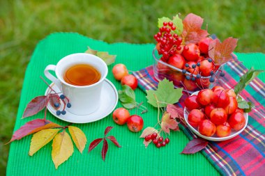 Bahçede sabah cennetin elmalarıyla beyaz bir fincan sıcak çay, bulanık doğal bir arka plan..