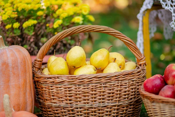 Reife gelbe Birnen in einem Teller auf einem Tisch im Garten. — Stockfoto