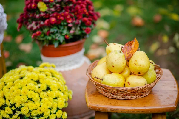 Reife gelbe Birnen in einem Teller auf einem Tisch im Garten. — Stockfoto