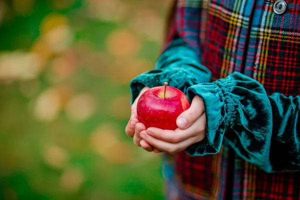 A girl holding a red apple in her hands in the autumn garden on a blurred background, place for text. — Stock Photo, Image