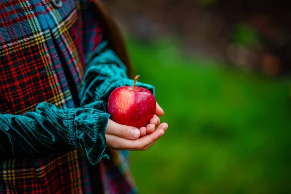 A girl holding a red apple in her hands in the autumn garden on a blurred background, place for text. — Stock Photo, Image