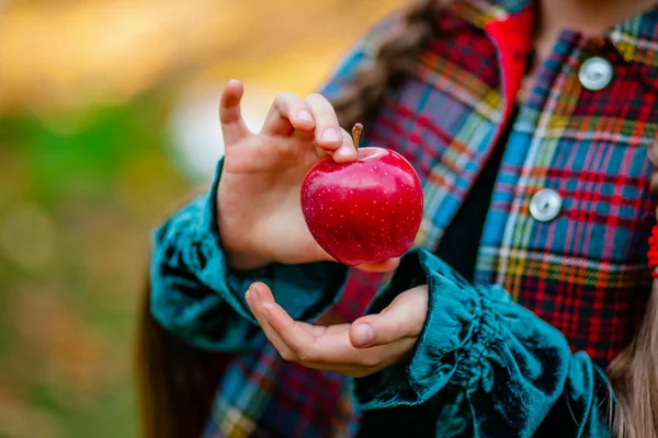 A girl holding a red apple in her hands in the autumn garden on a blurred background, place for text. — Stock Photo, Image