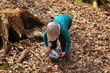 Geocaching çocuk iyi kamufle bir önbellek ormanda bulur.