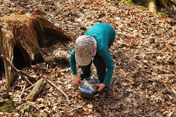 Geocaching Fiú Talál Egy Jól Álcázott Gyorsítótár Erdő — Stock Fotó