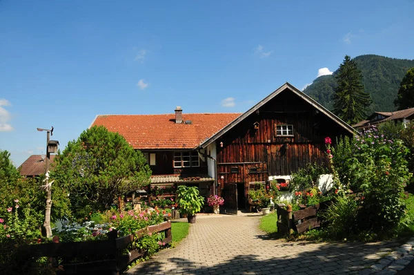 Genç Bayan yalnız Avrupa'nın allgau yeşil bir çayırda üzerinde sopa ile dolaşıp