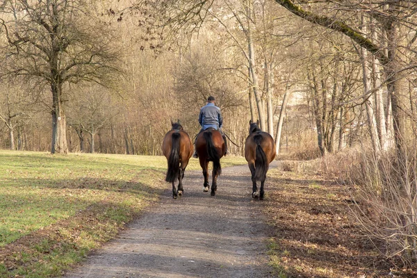 Três Cavalos Homem Montando Cavalo — Fotografia de Stock