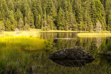 Güneşin Bavyera ormanı içinde küçük Arbersee görünümünü