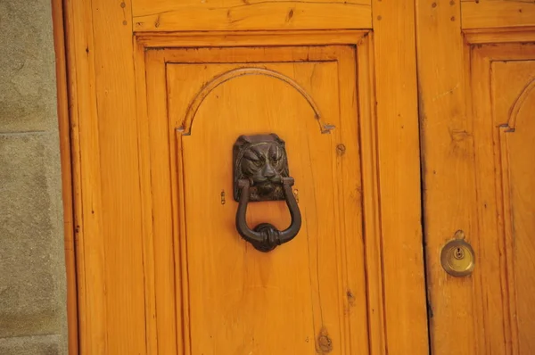 Stattliche Holztür aus gelbem Holz mit einem Türklopfer aus Löwengesicht — Stockfoto
