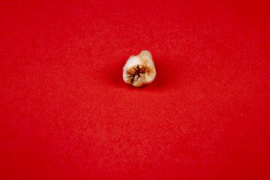 beyazlık diş izole çizilmiş olarak kırmızı arka plan