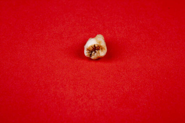 зуб белизны, выделенный на красном фоне
