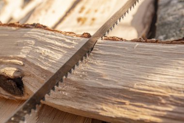 El bir yakacak odun tutar ve bir fretsaw ile ilgili parçalar halinde testere içine testere testere ile testere testere.