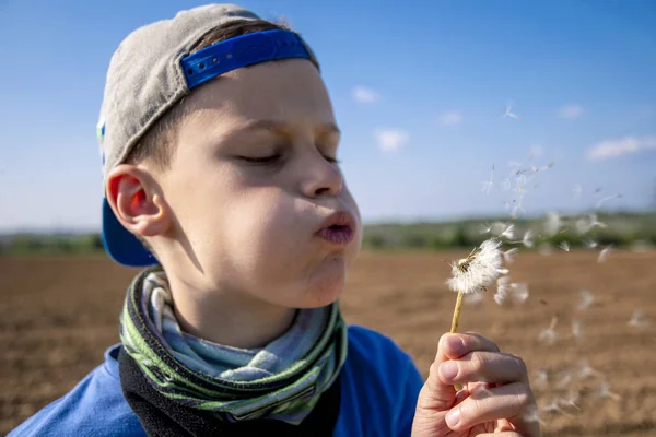 Молодий з густими щоками дме квітучу кульбабу в повітря насіння відлітає — стокове фото