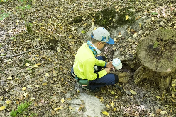 Rapaz em Geocachinge na floresta quando encontra um esconderijo — Fotografia de Stock