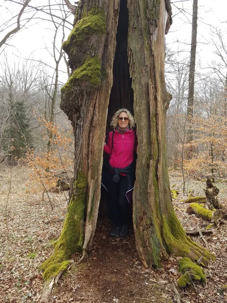 Femme aux cheveux blonds se tient dans un arbre et regarde hors de lui — Photo