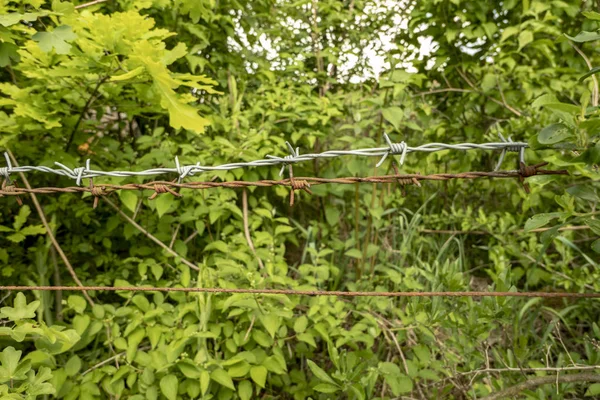 Stacheldrahtzaun vor einer grünen Hecke — Stockfoto