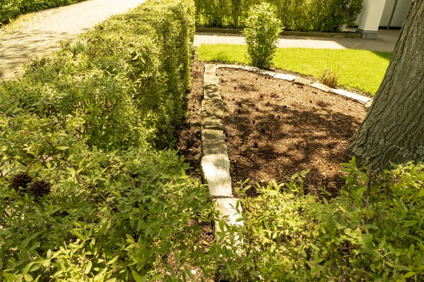 Garden design with beautiful hedge and small wall with garden and tree Royalty Free Stock Images